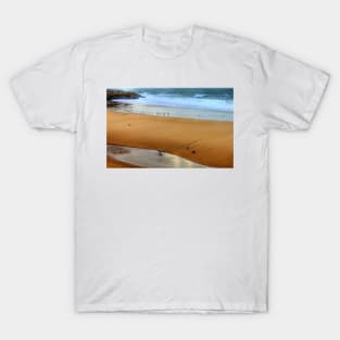 seagull bath... T-Shirt